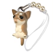 DN-6005 [Dog 92 ビーズストラップ Chihuahua スムースコートチワワ / チョコホワイト]