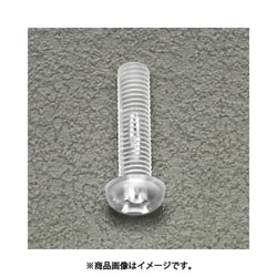 M6x20mm 小ねじ（ポリカーボネート/20本） EA945AH-1620
