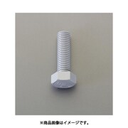 EA945AY-161 [M16x40mm ボルト（塩化ビニール製/10本）]