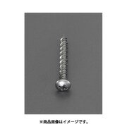 EA945SS-11 [4.0x25mm コンクリートビス（ナベ頭/ステンレス/200本）]