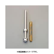 EA947AL-101 [M10x120mm/SUS 寸切ボルト・ナット付ケミカルアンカー]