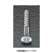 EA949EB-41 [4.2x 41mm 木工ビス（ユニクロメッキ/600本）]