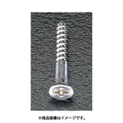 EA949EB-57 [4.2x 57mm 木工ビス（クロームメッキ/300本）]