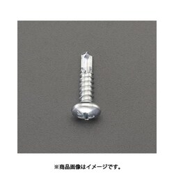 6x19mm ピアスビス（ナベ頭/鉄/1000本） EA949EG-361