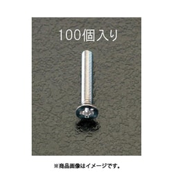 M3x10mm 皿頭小ねじ（ステンレス製/100本） EA949SK-33