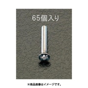 EA949SK-36 [M3x20mm 皿頭小ねじ（ステンレス製/65本）]
