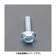 EA949ZE-101 [M10x16mm フランジボルト2種（ユニクロ/6本）]