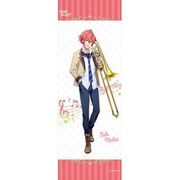 ウインドボーイズ！ ミニタペストリー 向十希 [キャラクターグッズ]