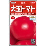 大玉トマト 瑞栄 1袋