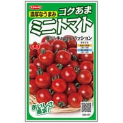 コクあま キャロルパッション ミニトマト 1袋