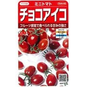 チョコアイコ ミニトマト 約13粒