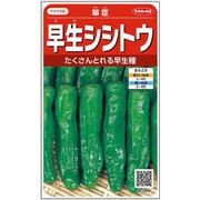 早生シシトウ 翠臣 1袋
