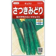 さつきみどり キュウリ 約17粒