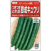 つぎつぎとれる節成キュウリ スタートダッシュ節成 約36粒