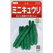 ミニキュウリ リル 約18粒