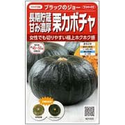 ブラックノジョー 栗かぼちゃ 約6粒
