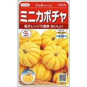 ミニカボチャ プッチーニ 1袋