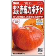ホクあま赤皮カボチャべにくり 1袋