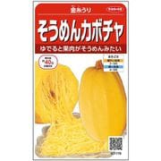 そうめんカボチャ 金糸うり 1袋