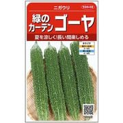 緑のカーテン ゴーヤ 約6粒
