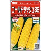 ジャンボコーン あまうま ゴールドラッシュ88 1袋