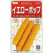 イエローポップ ポップコーン 約75粒