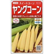 ヤングコーン スイートコーン 1袋