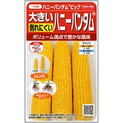 大きい ハニーバンダム スイートコーン 約65粒