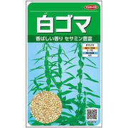 白ゴマ 1袋