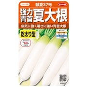 強力青首夏大根 献夏37号 1袋