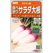 食べきりサラダ大根 あやめっ娘 1袋