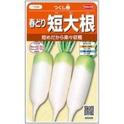 春どり短大根 つくし春 1袋