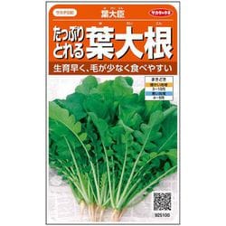 たっぷりとれる葉だいこん 葉大臣 1袋