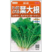 たっぷりとれる葉だいこん 葉大臣 1袋