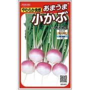 あまうま小かぶ あやめ雪 1袋