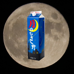 ヨドバシ.com - 東亜酒造 月のむさし野 14度 2000ml [日本酒