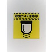 SH036 [サイン カンシカメライチ]