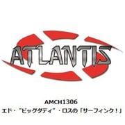 ATLAMCH1306 エド・“ビッグダディ”・ロスの「サーフィンク！」 [組立式プラスチックモデル]