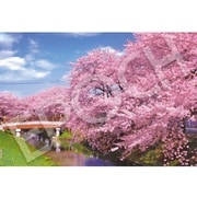 26-363s 日本風景（桜柄） 新河岸川の桜 - 埼玉 [ジグソーパズル 300ピース]
