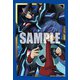 ブシロードスリーブコレクション ミニ Vol.565 ヴァンガード ZERO 先導アイチ 孤独なファイトver. [トレーディングカード用品]