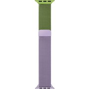 IQ-AWMLG41-GRP [Apple Watch 41/40/38mm用 ステンレスマグネット式 グラデーションバンド グリーン/ライトパープル]