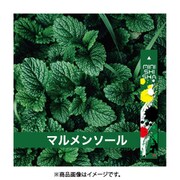 ミニシーシャ マルメンソール