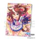ウマ娘 プリティーダービー アクリルプレート Vol.2 2. トウカイテイオー [キャラクターグッズ]