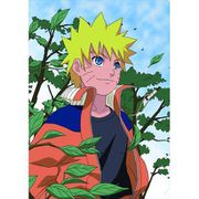 NARUTO-ナルト- 豪華設定資料集セット [キャラクターグッズ]