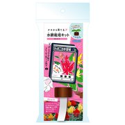 438998007 [ジャポニカ栽培キット キャップタイプ けいとう]
