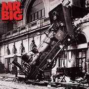 MR. BIG/LEAN INTO IT （30TH ANNIVERSARY EDITION） [輸入盤CD]