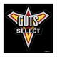 ウルトラマントリガー GG3耐ステッカー GUTS-SELECT [キャラクターグッズ]