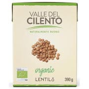 ヴァッレ・デル・チレント 有機 レンズ豆 390g