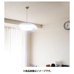 瀧住電機 ペンダントライト 昼光色 6畳用 シャンパンゴールドの