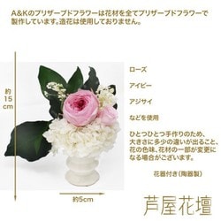 ァッション人気ブランドランキング ヨドバシ.com - A＆K AKM-003 [プリザーブドフラワー 杏 花器 その他